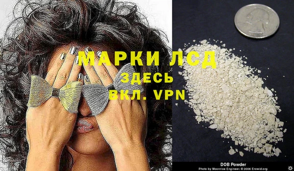 spice Арсеньев