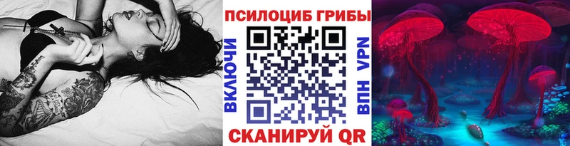 закладка  Нефтекумск  Псилоцибиновые грибы MAGIC MUSHROOMS 